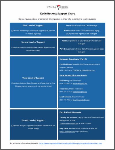 Preview of Katie Beckett Support Chart One-Pager